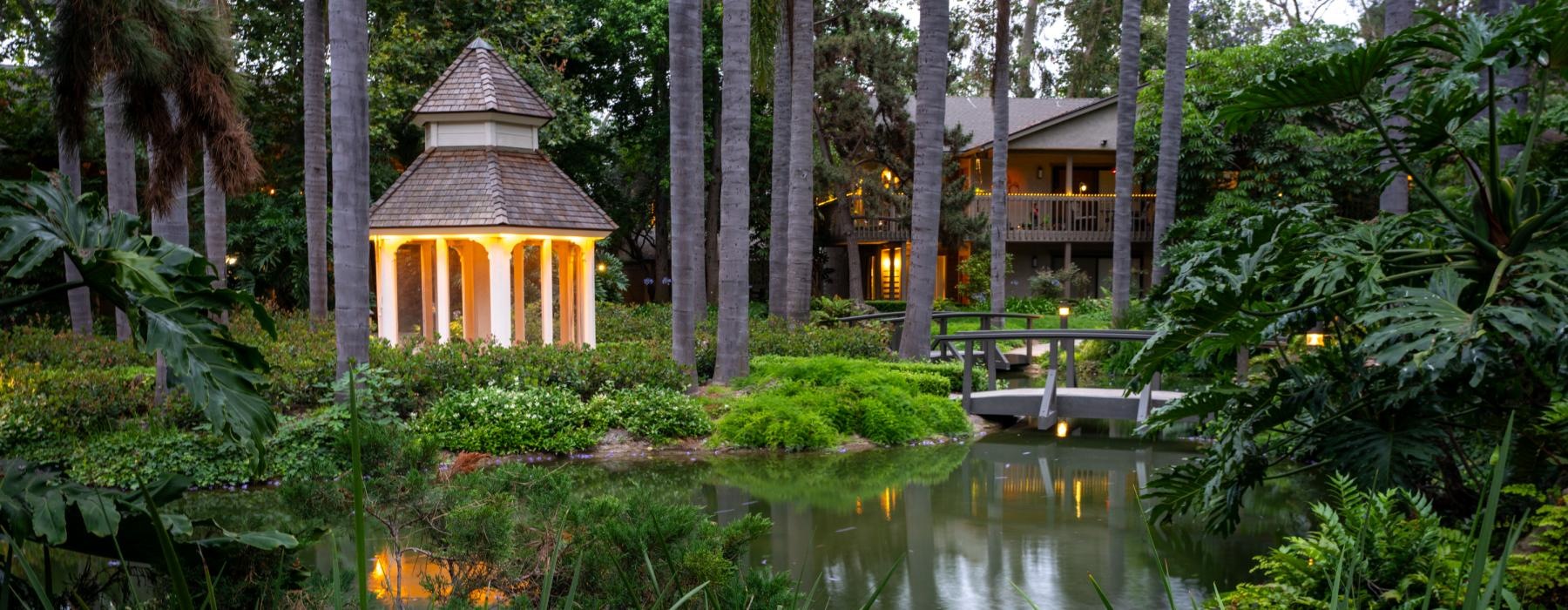 a pond with a building in the background