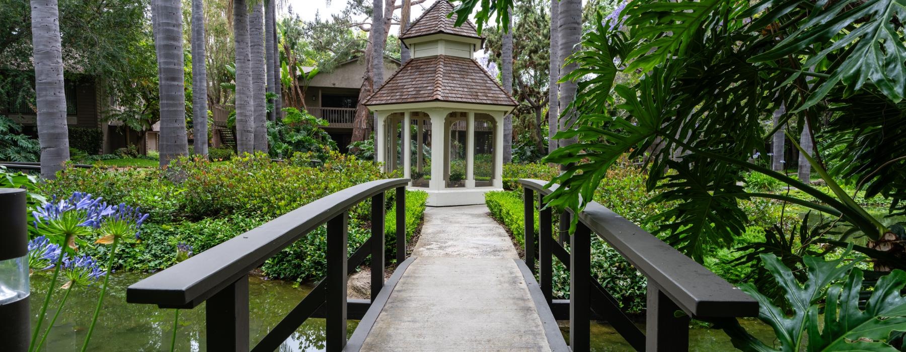 a walkway with benches and trees