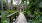 a walkway with benches and trees